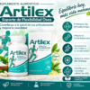 Artilex Mexico